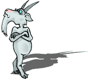 [Haughty goat pic]